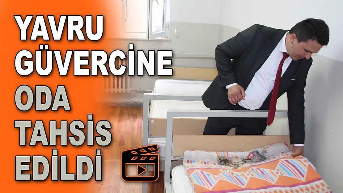 Yavru Güvercine Oda Tahsis Edildi
