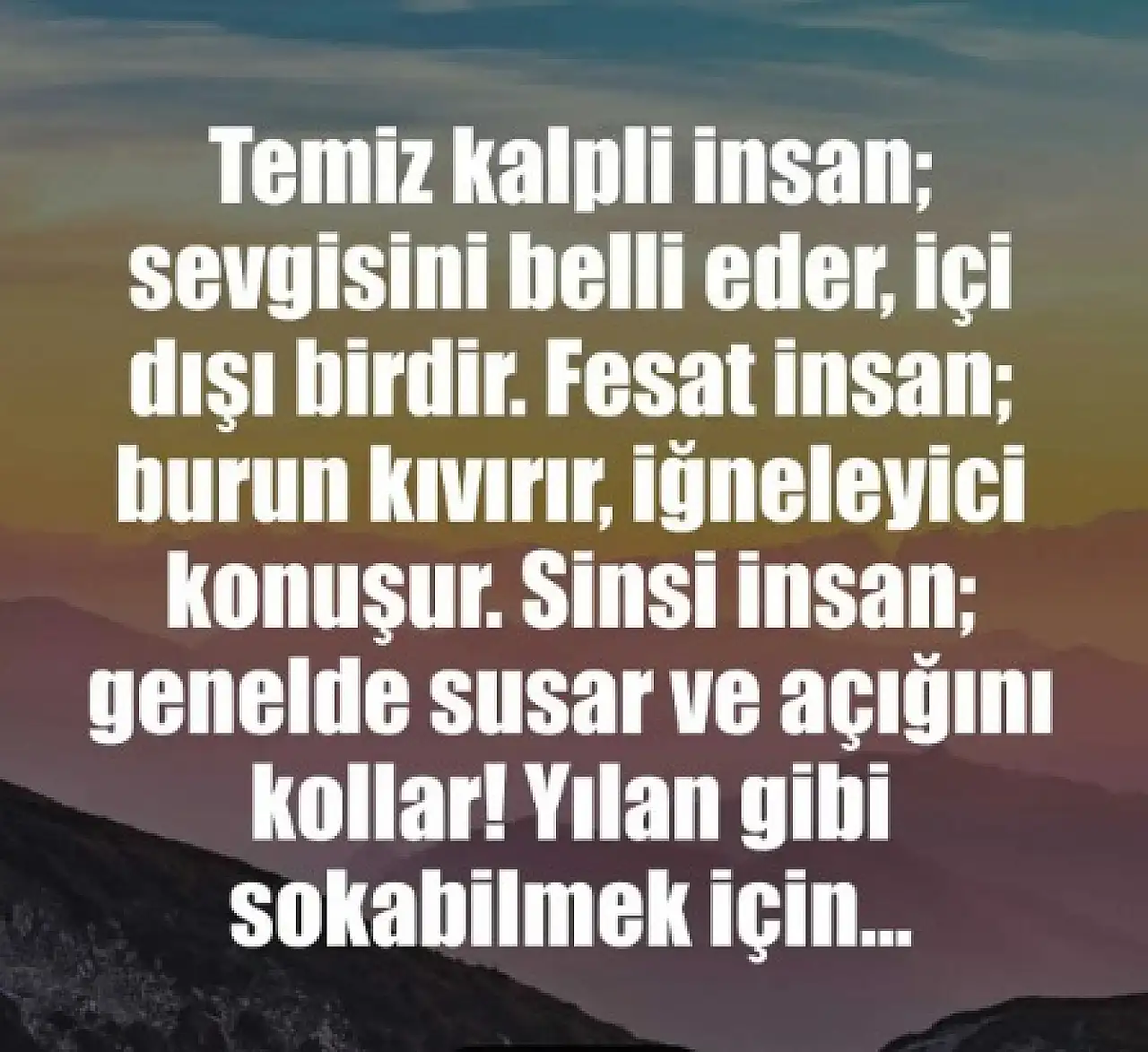 İnsan İsterse