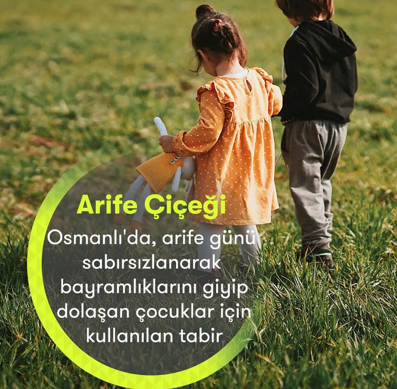 Arife Çiçekleri
