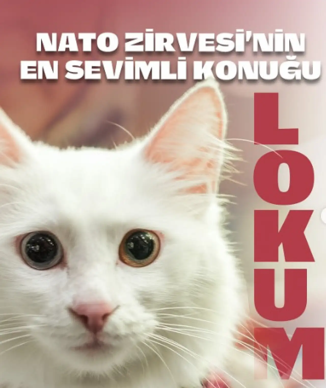 Kültür Şovu