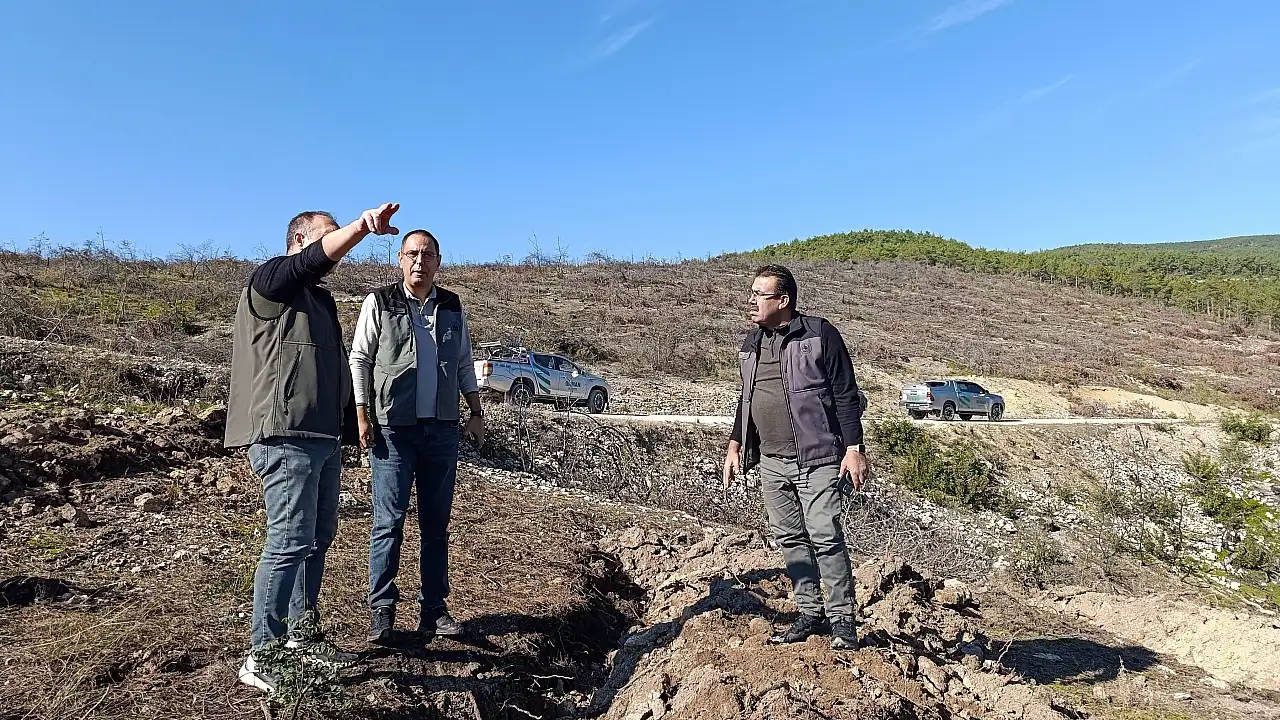 Kastamonu’da ağaçlandırma sahaları incelendi