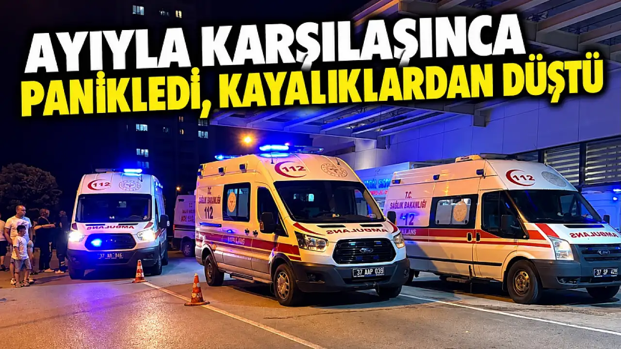 Ayıyla Karşılaşınca Panikledi, Kayalıklardan Düştü