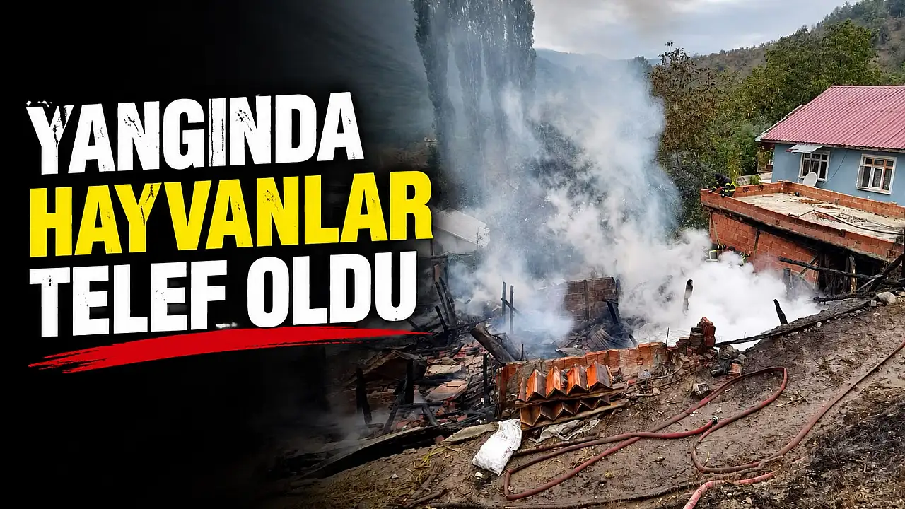 Yangında Hayvanlar Telef Oldu