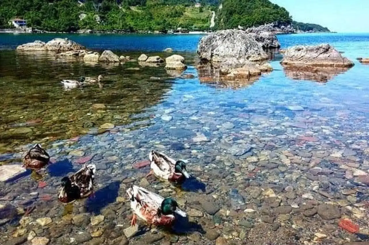 Rota Oluşturuldu Cide & Gideros