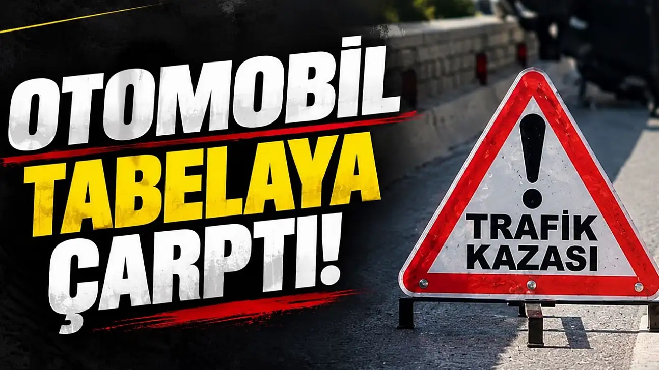 D-100'de Otomobil Tabelaya Çarptı! Yaralılar Var