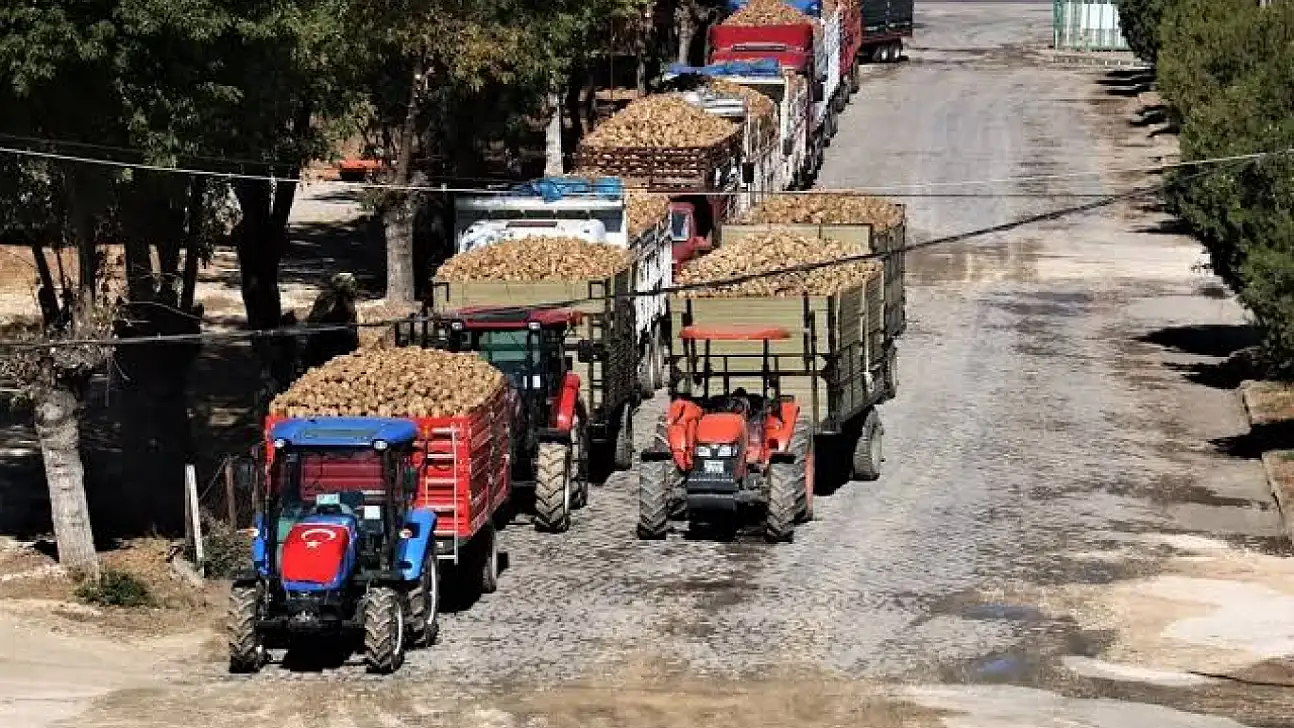 Pancar Alım Fiyatı Belli Oldu