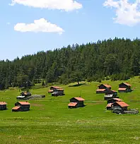 21 Yayla, Eşsiz Doğa