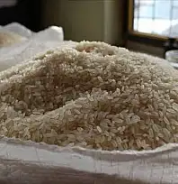 Tosya Pirinci Neden Meşhur? Yüzyıllardır Değişmeyen Lezzetin Sırrı