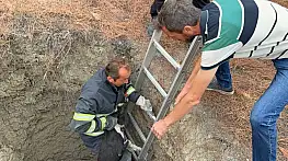 10 metre derinliğindeki kuyuya düşen köpeği itfaiye kurtardı