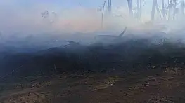 Araç yangını ormanlık alana sıçradı, ekipler alevleri büyümeden söndürdü