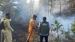 Bolu'da ormanlık alanda çıkan yangın kontrol altına alındı