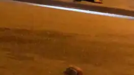 Cadde ortasında sopalı kavga: 1 yaralı