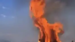Çankırı'da örtü yangını ağaçlık alana sıçradı