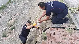 Çorum'da çaya düşen kediyi itfaiye kurtardı