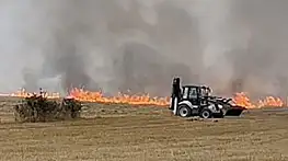 Çorum'da çıkan anız yangınında 2 bin dönüm alan küle döndü