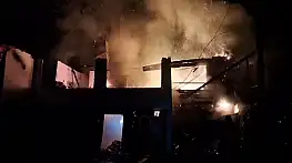 Ev alevlere teslim oldu, hayvanlar son anda kurtarıldı