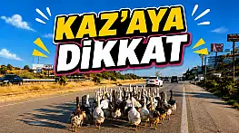 Kazaya Dikkat!