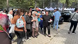 Şenlikte ağaçtan düşen dal yaşlı kadını yaraladı