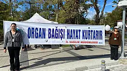 Sinop'ta meme kanseri farkındalığı