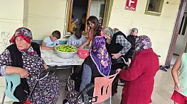 Sinop'ta nesiller buluştu, birlikte turşu kurdu