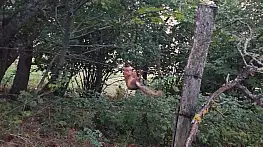 Sinop'ta tellere takılan sincap ekiplerce kurtarıldı