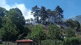 Sinop'taki orman yangınıyla ilgili 1 kişi tutuklandı