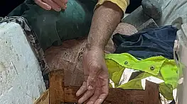 Sinoplu balıkçıya denizden mavi sürpriz