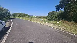 Zonguldak'ta ormanlık alana atılan cam şişeler yangın riski oluşturdu