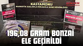 196,08 Gram Bonzai Ele Geçirildi