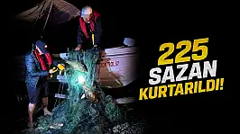 225 Sazan Kurtarıldı!