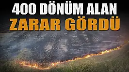 400 Dönüm Alan Zarar Gördü