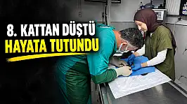 8. Kattan Düştü, Hayata Tutundu