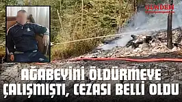 Ağabeyini Öldürmeye Çalışmıştı, Cezası Belli Oldu