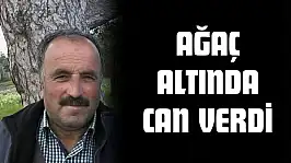 Ağaç Altında Can Verdi