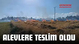 Alevlere Teslim Oldu