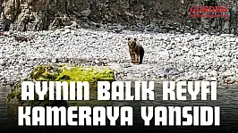 Ayının Balık Keyfi Kameraya Yansıdı