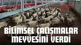 Bilimsel Çalışmalar Meyvesini Verdi