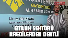 Emlak Sektörü Kredilerden Dertli