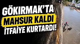 Gökırmak'ta Mahsur Kaldı, İtfaiye Kurtardı!