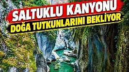 Güzelliğiyle Mest Ediyor