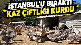 İstanbul'u Bıraktı, Kaz Çiftliği Kurdu!
