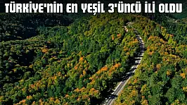 Kastamonu, Türkiye'nin En Yeşil 3'üncü İli Oldu