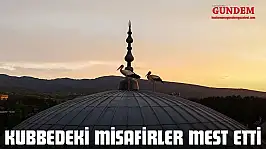 Kubbedeki Misafirler Mest Etti