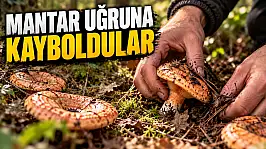 Mantar Uğruna Kayboldular