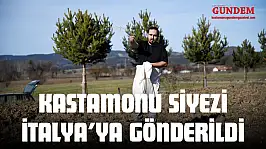 Midesinde Siyez Çıkan Mumya Sonrası Kastamonu Siyezi İtalya'ya Gönderildi