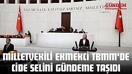 Milletvekili Ekmekci TBMM'de Cide Selini Gündeme Taşıdı