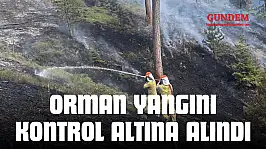Orman Yangını Kontrol Altına Alındı