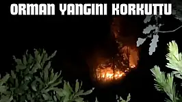 Orman Yangını Korkuttu