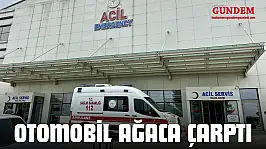Otomobil Ağaca Çarptı: Yaralılar Var!