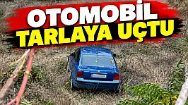 Otomobil Tarlaya Uçtu